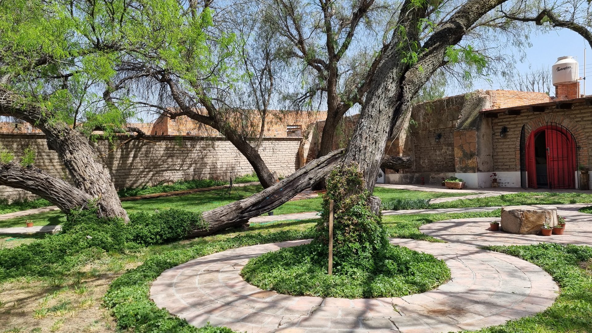 Santuario Mezquite con mezquites centenarios