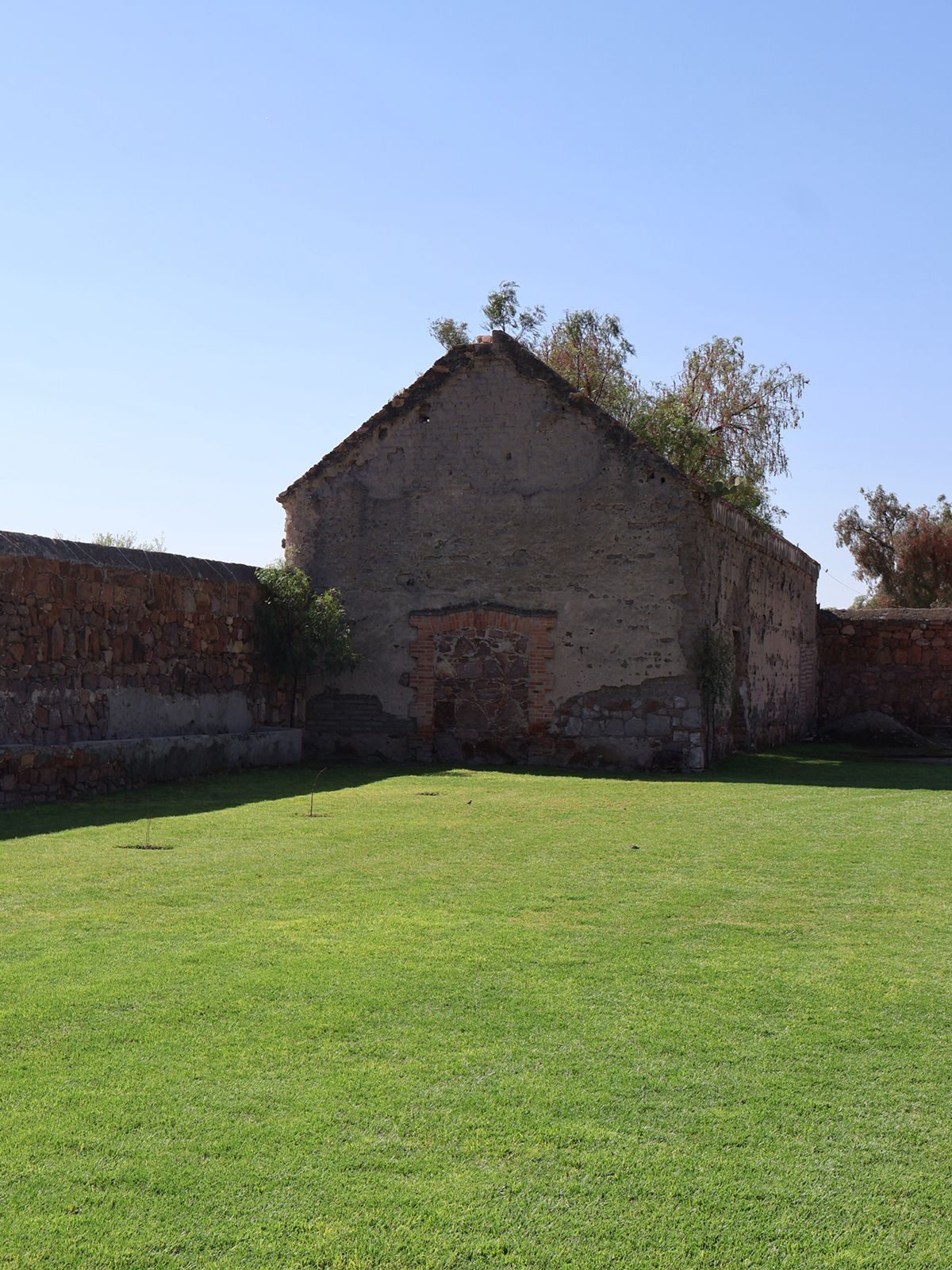 Salón Renace con muros de adobe de 200 años y árboles creciendo en el interior